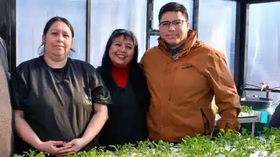 El plan de Santa Cruz para producir verduras todo el año: así funcionan los nuevos invernaderos