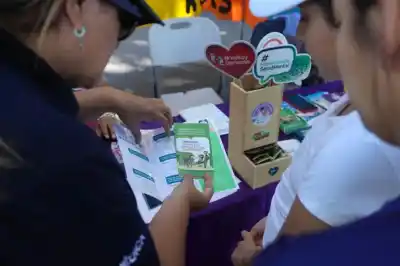 ¿Vencidos? El control que garantiza la calidad de los preservativos en Neuquén