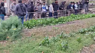 Una bomba de 50 años y 17 estudiantes: la insólita tarea que los llevó a una granja jujeña