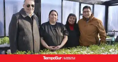 Hidroponía en Santa Cruz: el plan que promete verduras frescas todo el año y trabajo local