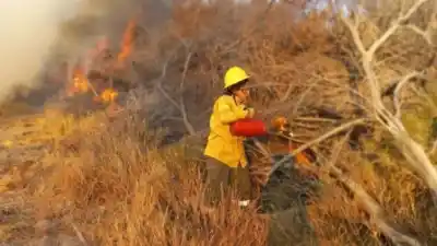 Incendios en Catamarca: el 97% de los siniestros tiene un origen humano