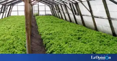 Santa Cruz pone la lupa en las tierras ociosas: ¿qué pasará con los campos improductivos?