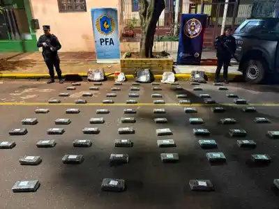 Un oscuro automóvil, una fuga al monte y un hallazgo que dejó helados a los efectivos