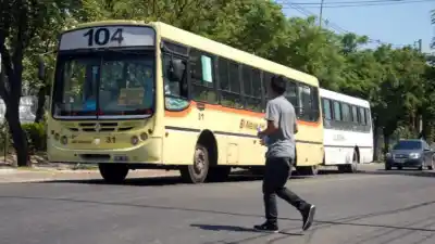 El Nene contra las cuerdas: la empresa de colectivos pide frenar la baja de unidades y apunta al Estado