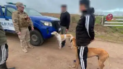 Un golpe a la caza furtiva en Córdoba: 15 detenidos y el dramático rescate de más de 35 galgos