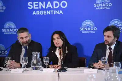El Senado dio luz verde a 67 pliegos judiciales: los detalles que nadie contó