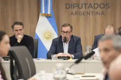 Un reclamo que cruza el país: Silvia González e intendentes pampeanos llevaron al Congreso el drama de las rutas