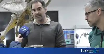 Los fósiles que revelan una Santa Cruz selvática, 16 millones de años antes de la estepa