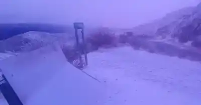 El frío extremo que mató animales en Bolivia ya llegó a Salta: ¿dónde cayó nieve?
