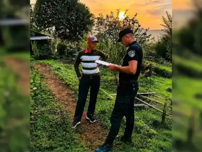 Una jubilada de 85 años se desvaneció tras un ataque de abejas y los policías tuvieron que forzar la entrada