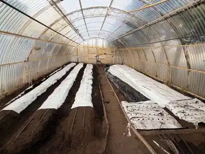 Río Grande pone en marcha su nueva chacra agroexperimental: qué se producirá