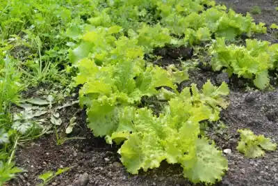 El secreto que compartieron con más de 20 productores de Río Grande antes de la nueva temporada