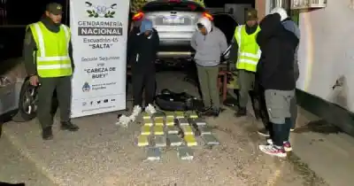 Dos controles en Salta destaparon un cargamento de cocaína que tenía como destino Mendoza