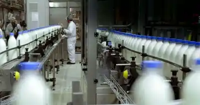 El mapa laboral de Santa Fe: 20.412 empleos menos y un sector que preocupa