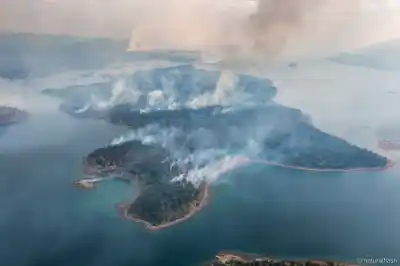 Tierra del Fuego, elegida para un megaproyecto ambiental: ¿qué pasará con sus áreas protegidas?