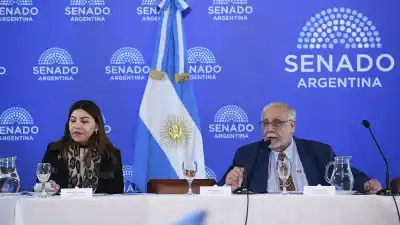 El Senado avanza con la designación de la jueza Miguel Carmona para Catamarca
