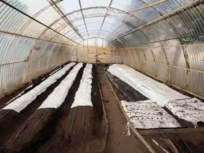 El secreto detrás de la nueva chacra que revolucionará la producción en Río Grande