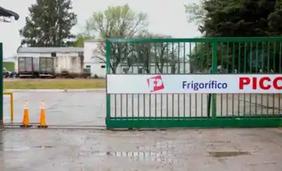Rechazaron el balance y repartieron $2.000 millones en honorarios: el laberinto del Frigorífico Pico