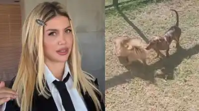 Polémica en Nordelta: el video que desató la furia de Wanda Nara y la reacción de su familia