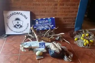 Escopeta sin papeles y animales protegidos: el cazador furtivo que ahora deberá explicar todo ante la Justicia