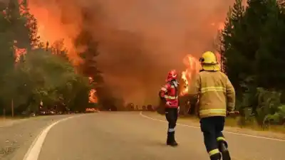 El desastre ambiental que nadie pudo frenar: 60 mil hectáreas calcinadas en la Patagonia