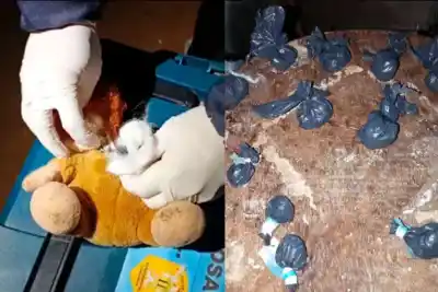 Ocultaban droga en un peluche: el insólito hallazgo en un allanamiento que terminó con dos detenidos
