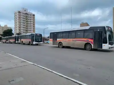 El nuevo transporte en Comodoro: ¿qué hay detrás de los 28 colectivos que faltan y los 226.000 kilómetros que no se recorren?