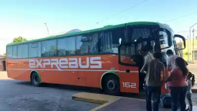 El efectivo no muere: 30 días más para pagar el boleto en colectivos rurales