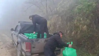 Un operativo cerrojo en Tucumán terminó con un cargamento de cocaína vegetal y un dato que sorprende