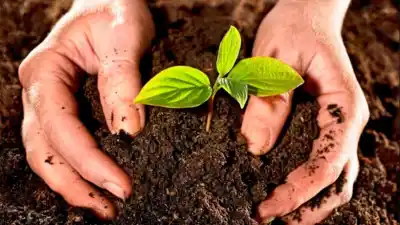 Bella Vista avanza en un plan clave para convertir residuos en compost