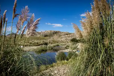 ¿Helado por la mañana y sol radiante al mediodía? San Luis vive un contraste térmico que sorprende