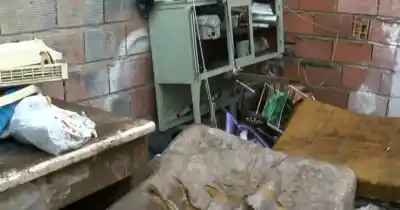 El perro que salvó a una familia del incendio murió en el lugar: cómo ayudar