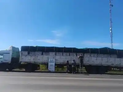 El insólito cargamento que frenaron en la Ruta 11: 27.456 latas sin papeles