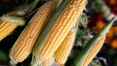 ¿Cuánto cuesta llenar la heladera hoy? Los precios que nadie te muestra