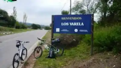 Misteriosa muerte de vacunos en Ambato: sospechan de rabia bovina y ya son 10 los animales afectados