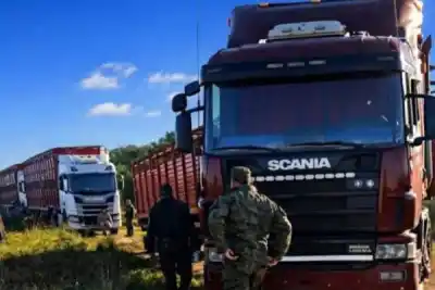 Abigeato en Corrientes: el pedido desesperado que sacude a Santo Tomé
