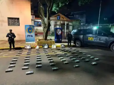 Dejó todo y huyó al monte: los federales hallaron 96 kilos de marihuana en Puerto Esperanza