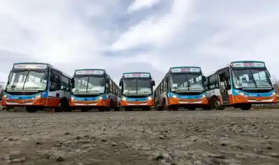 Mi Bus suma cinco unidades 0 km: ¿qué líneas ya cuentan con los nuevos colectivos?