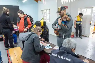Alerta en Río Grande: la peligrosa enfermedad que acecha a los perros y cómo evitarla
