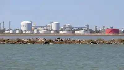 TGS avanza a toda máquina: ya compró los equipos clave para su megaproyecto de exportación desde Bahía Blanca