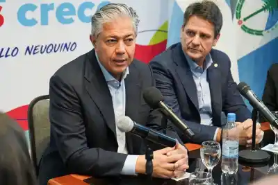 Figueroa: qué condiciones pondrá Neuquén para apoyar las medidas de Nación