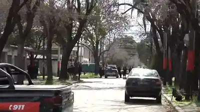 Murió tras chocar contra un árbol: buscan al conductor que huyó del lugar