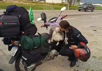 Perdió su trabajo, armó su moto y cruzó a Brasil con su gata: la historia de la misionera que vive sin rumbo