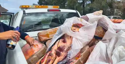 El operativo que terminó con 370 kilos de carne secuestrada