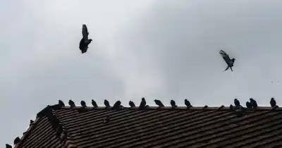 Rosario bajo un manto gris: La humedad se adueña de la ciudad y el pronóstico guarda una sorpresa