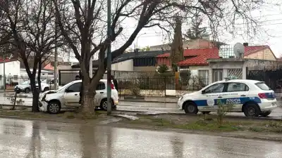 Chocó contra un árbol en plena avenida Kennedy y el auto quedó destrozado
