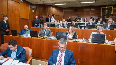 Traidores, adormecidos y memoriosos: los comentarios que marcaron la sesión por Vicuña