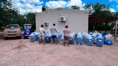 Operativo en El Mojón: Una camioneta negra y respuestas que no cerraban desataron el hallazgo millonario