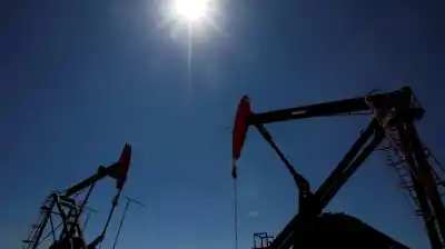 Vaca Muerta: la megainversión de Tecpetrol que el Gobierno acaba de habilitar y sacude la economía