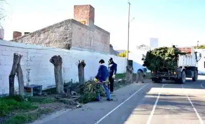 Poda en la pista de atletismo de Trelew: qué horarios quedan suspendidos y cuándo vuelve la normalidad